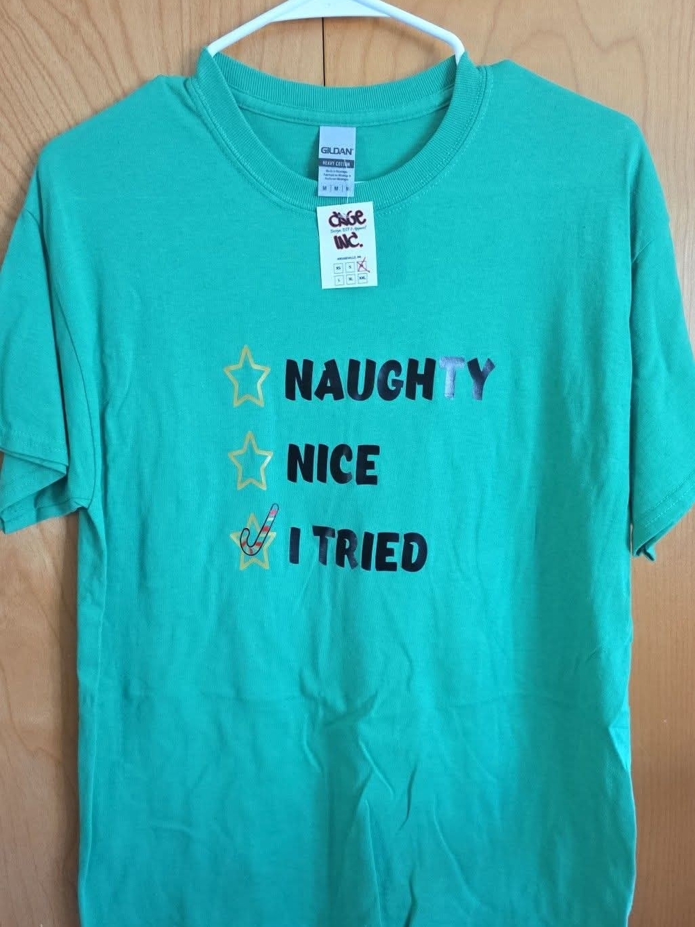 Gildan Teal Short Sleeve Graphic Tee "Naughty Nice I Tried"